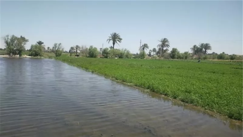 «الري» توضح حقيقة غمر أراضي زراعية بالمياه وتحذر من التعدي على نهر النيل