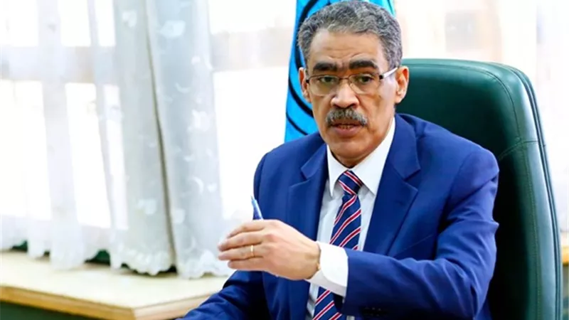 ضياء رشوان: دور مصر محوري وتضع مصالح القارة على قمة أولوياتها