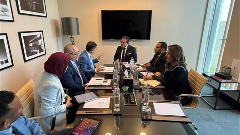 وزير الصحة يلتقي وفد «UNIDO» لتنمية صناعة الأدوية واللقاحات