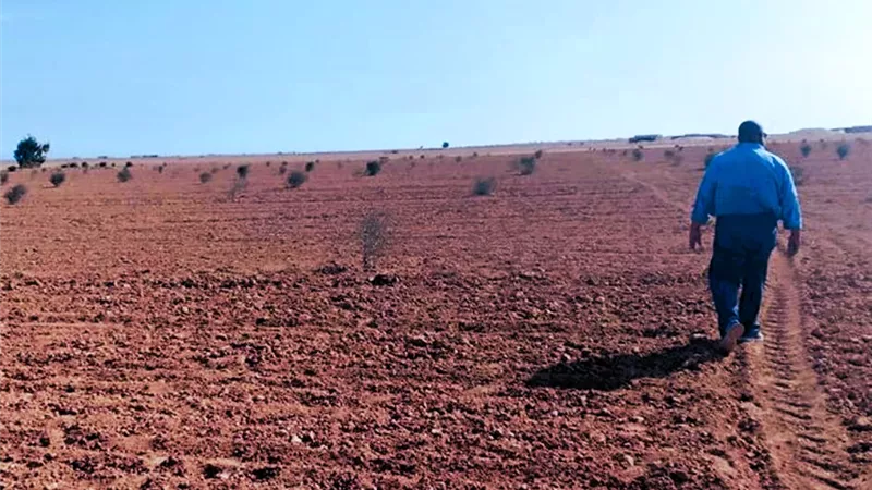 نقلة نوعية لمستقبل الصحراء الغربية