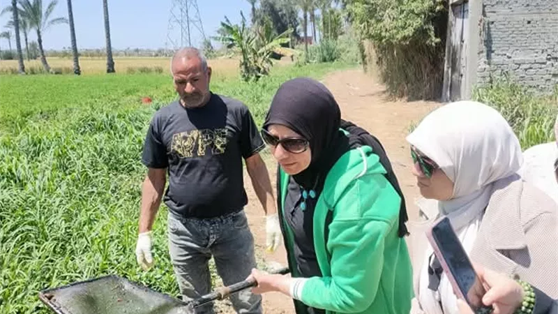 صحة دمياط تبدأ حملة فحص وعلاج المجاري المائية المصابة