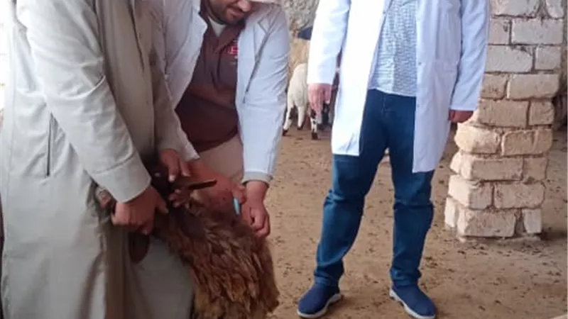 محافظ مطروح يتابع فعاليات الحملةالقومية للتحصين ضد الحمى القلاعية