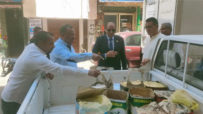 ضبط ربع طن أسماك مملحة وفسيخ غير صالحة للاستهلاك الآدمى بالأقصر