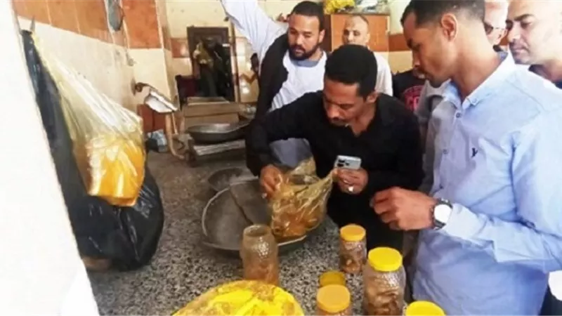 تكثيف الرقابة على محلات الأسماك المملحة استعدادًا لشم النسيم بأسوان