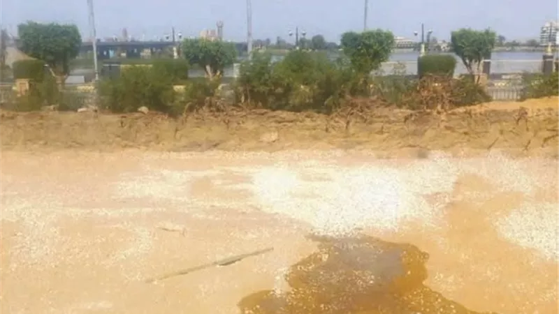 13 مليون جنيه لتطوير حديقة الأندلس بإدفو