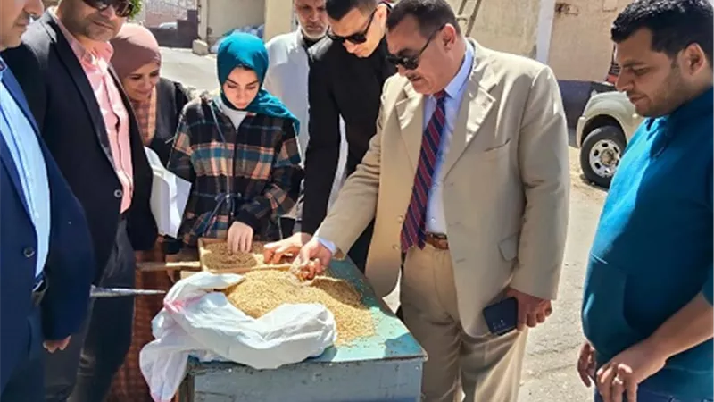 محافظ دمياط يتابع جهود التموين لتوريد محصول القمح