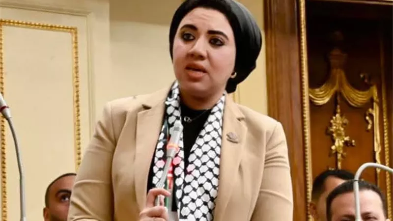 نائبةتنسيقية شباب الأحزاب تتقدم بسؤال حول تأخرإصلاح كوبري الهلالي