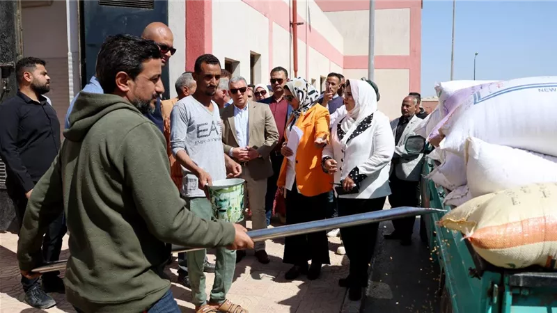 بوابة الجمهورية