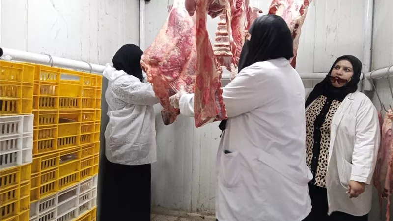 حملات تفتيشية لبيطرى بورسعيد على الأسواق