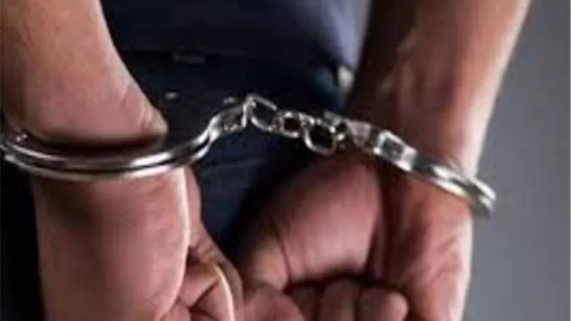 ضبط المتهمين بإصابة ربة منزل وقتل كلب في مشاجرة بالقليوبية