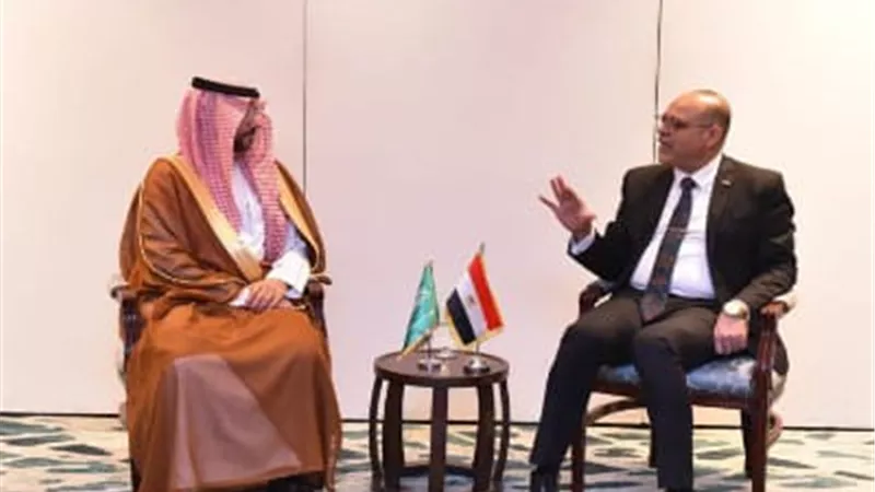 وزير العمل يبحث تفعيل التعاون مع نائب وزير الموارد البشرية السعودي