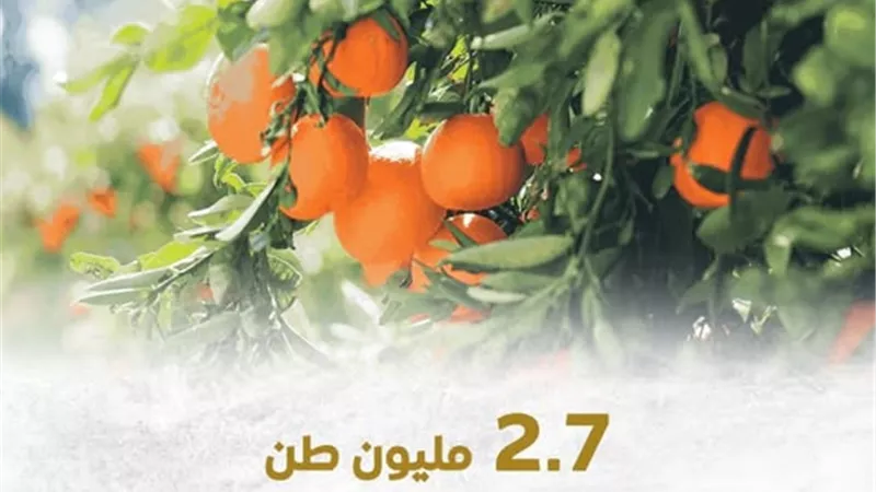 الصادرات الزراعية المصرية تتجاوز 2.7 مليون طن في الربع الأول من 2025