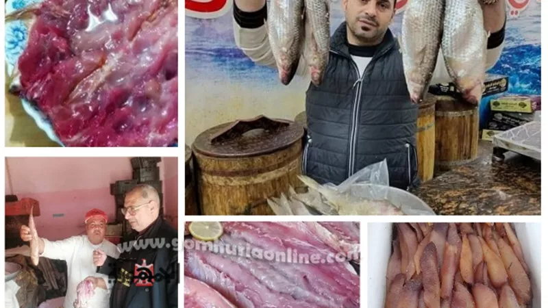 الفسيخ.. تاريخ 