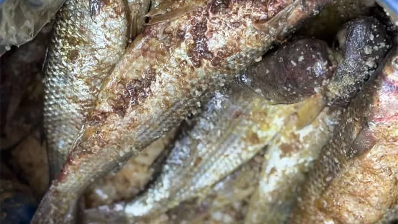 فسيخ غير صالح ومواد غذائية مجهولة المصدر بأسواق دمياط