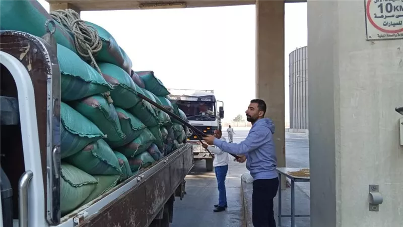 شون وصوامع المنيا تستقبل 21038 طن قمح