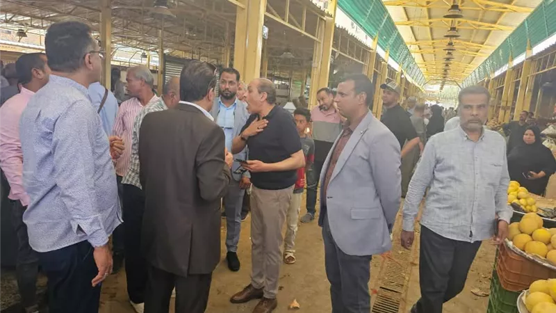ضبط 746 كيلو فسيخ وأسماك مملحة غير صالحة للاستهلاك بالأقصر