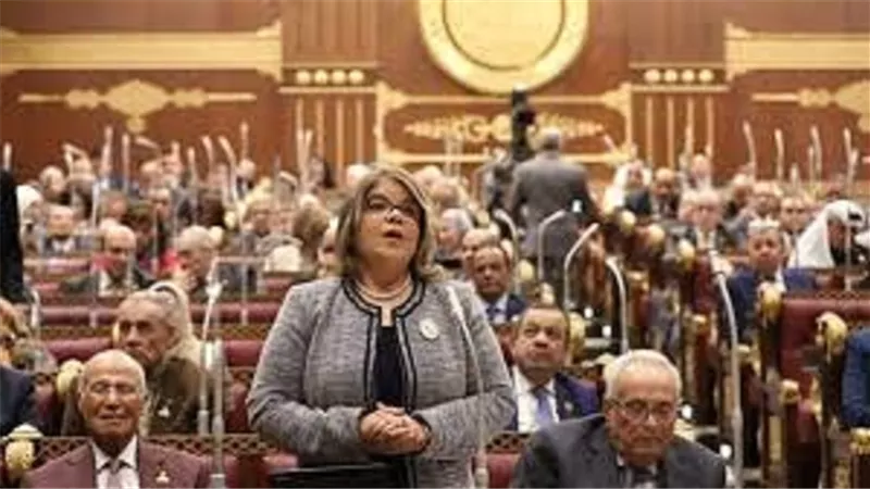 وكيل الشيوخ: هيكلة قطاع الأعمال العام ضرورة لكفاءة واستدامة الاقتصاد