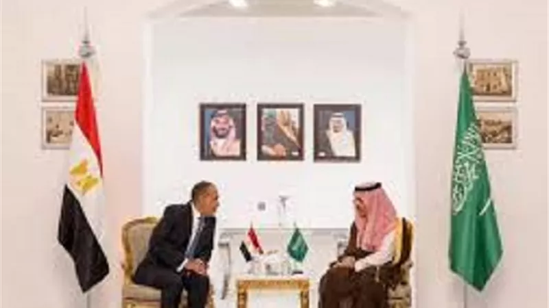 مصر والسعودية تؤكدان أهمية حل الدولتين ورفضهما القاطع لمحاولات تهجير الفلسطينيين
