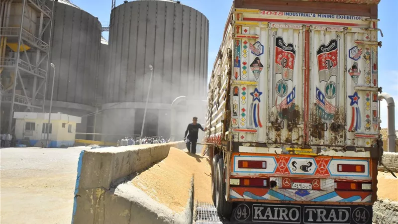 محافظ أسيوط: توريد 9356 طنا من حصاد القمح للشون والصوامع حتى الآن