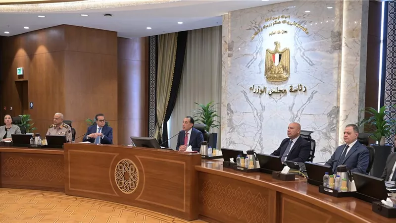 إقامة صوامع تخزين غلال..قرارات هامة فى اجتماع مجلس الوزراء اليوم