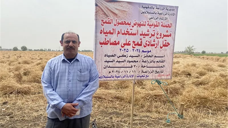 بدء موسم حصاد 232 فدان قمح بالدقهلية