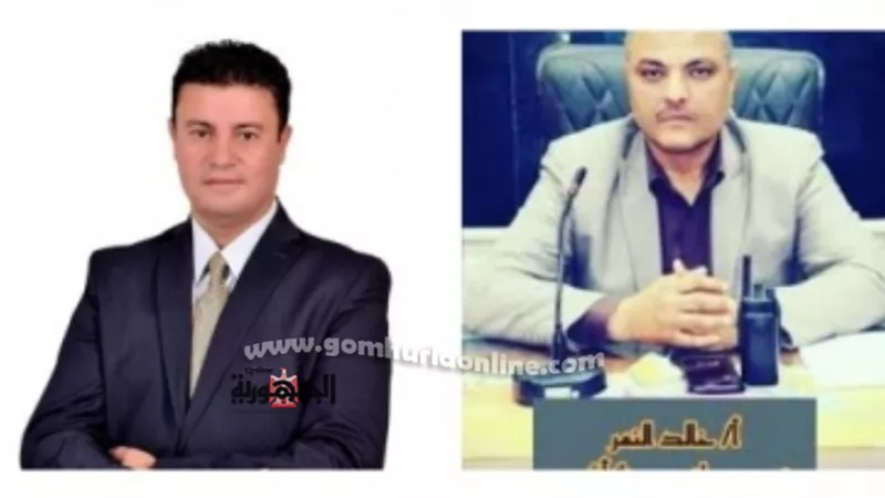 في حركة المحليات الجديدة.. الديب والنمر للمنوفية