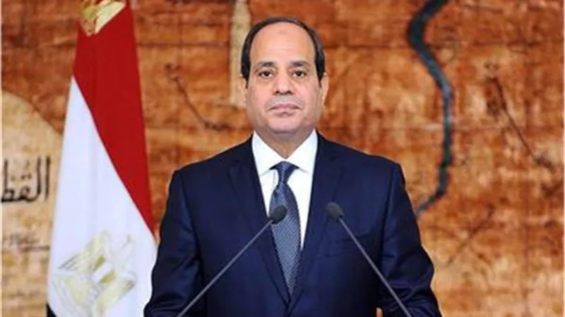 الرئيس السيسي: مصر تقف سدا منيعا أمام محاولات تصفية القضية الفلسطينية