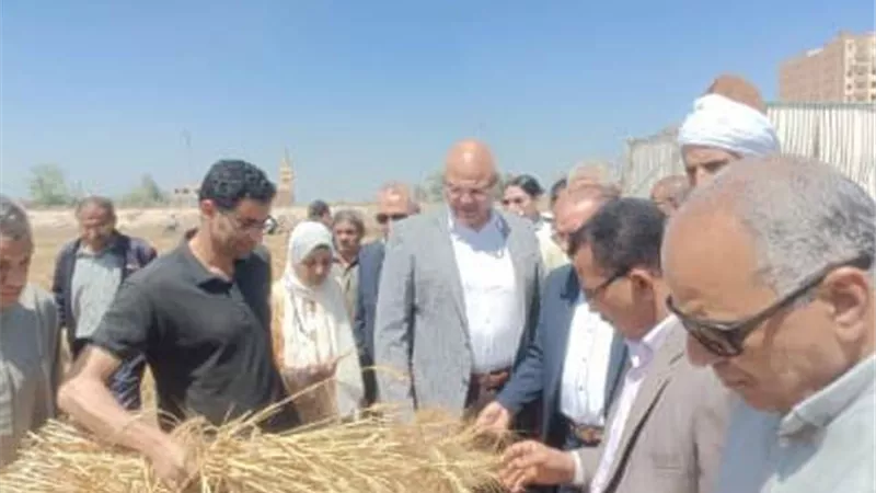 محافظ القليوبية: محصول القمح هذا العام مبشر للغاية وإنتاجية الفدان تتجاوز التوقعات