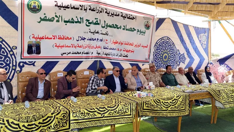 موسم حصاد الذهب الأصفر..توريد 40 ألف طن قمح في الإسماعيلية