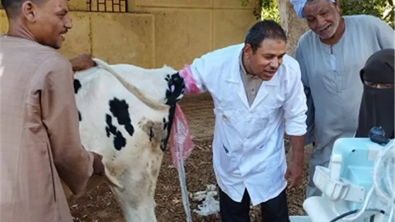 قنا.. الكشف على ٢١٠ رأس ماشيه بقافلة بيطرية مجانية بحجازة قبلي
