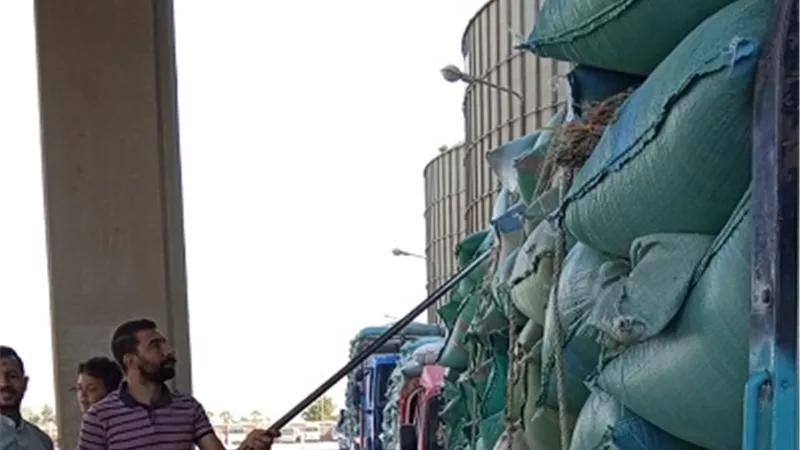 محافظ المنيا: توريد 68 ألف طن قمح للشون والصوامع