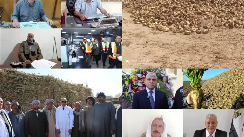 السكر.. 