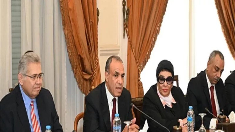 موقف مصر ثابت برفض تهجير الفلسطينيين وحل الدولتين