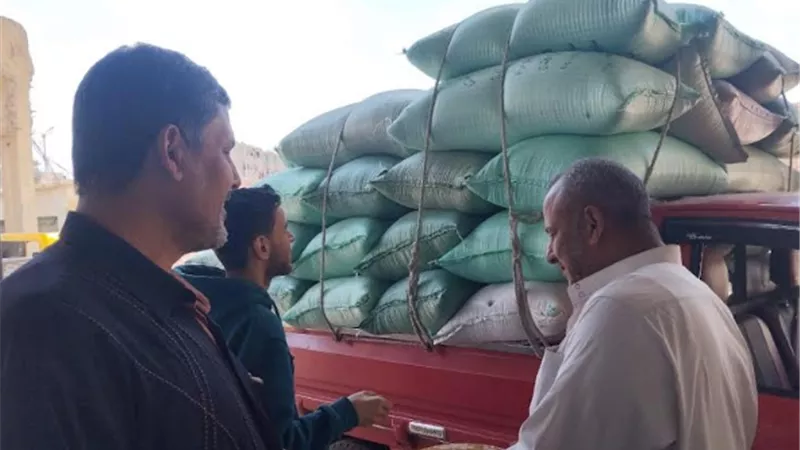 توريد ١٨ألف طن قمح بكفرالشيخ