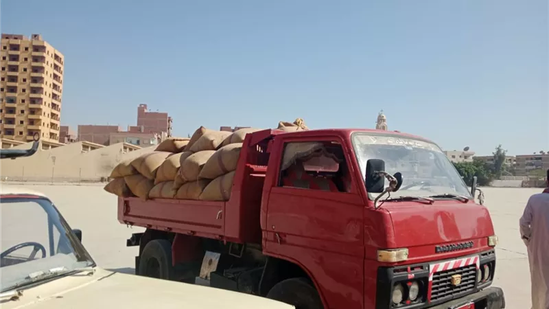 توريد 77 ألف طن من القمح للشون والصوامع بالمنيا