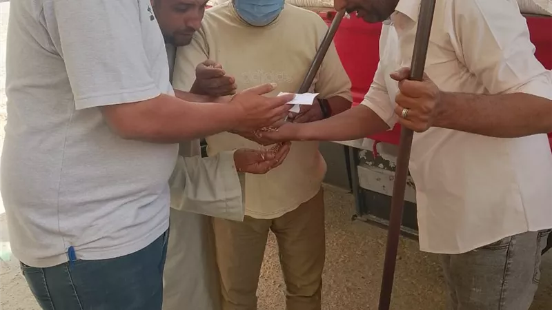 النجار : توريد ١٦ ألف طن قمح محلي منذ بداية موسم التوريد