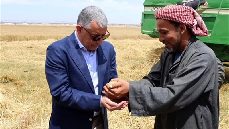 محافظ الإسماعيلية يشدد على متابعة توريد 
