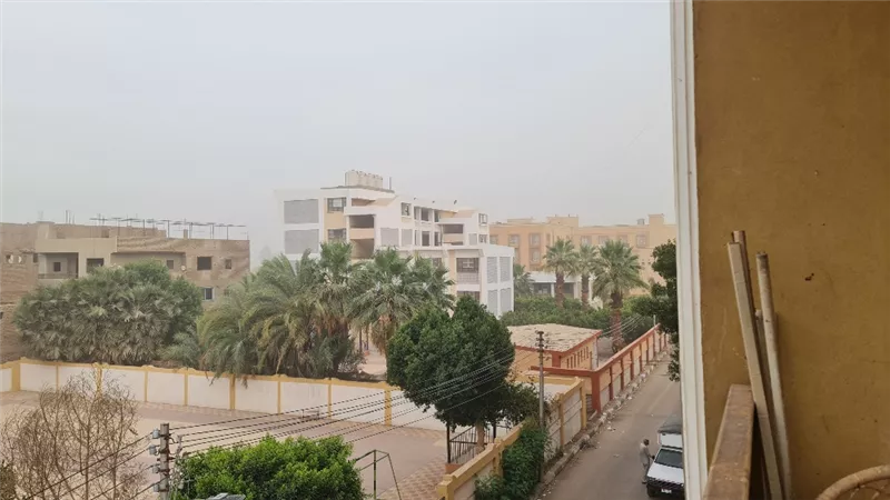 بدء إنشاء سوف الجملة بالطريق الدائرى بالغردقة