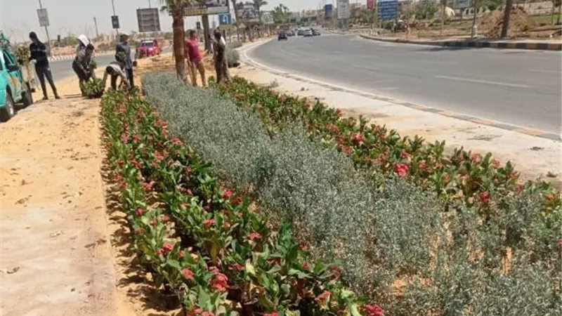 نبأ سار من جهاز بدر بشأن زراعة وتجميل أهم الطرق الرئيسية.. بالفيديو