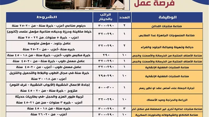 براتب 500 دينار.. وزير العمل يُعلن فرص عمل في الأردن