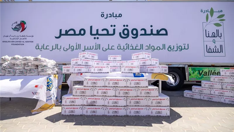 صندوق تحيا مصر
