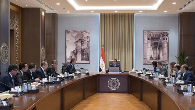 بعد القمح.. التموين: مخزون استراتيجي آمن من الأرز والمكرونة واللحوم