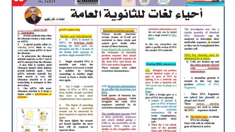 الخلطة السحرية في احياء لغات لن يخرج عنها الامتحان لـ الثانوية العامة 2025