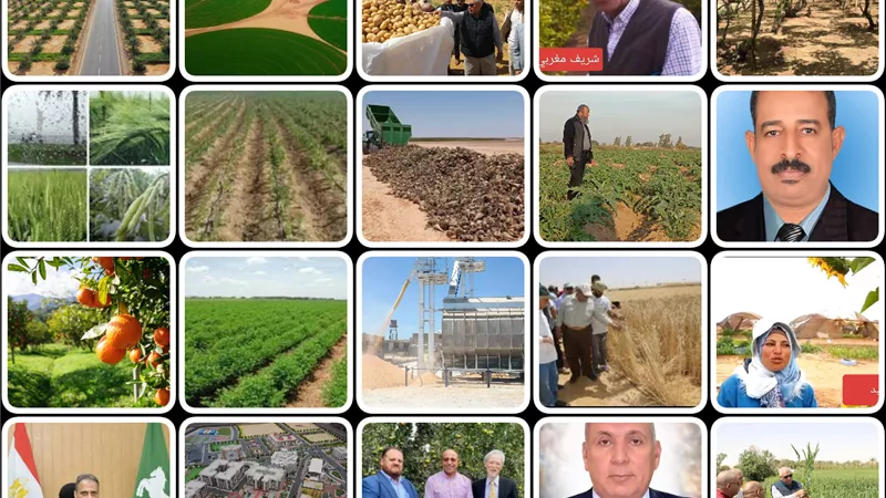 واحات خضراء.. في قلب الصحراء
