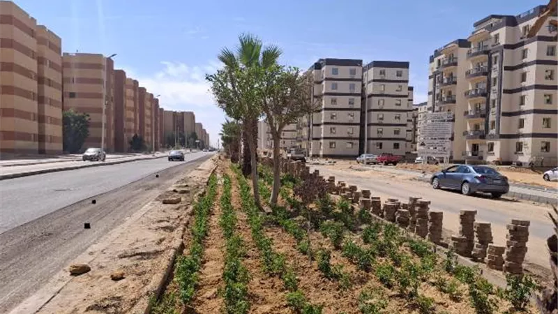 خطوة هامة من رئيس جهاز مدينة بدر بشأن زراعة وتجميل هذه الأحياء.. صور