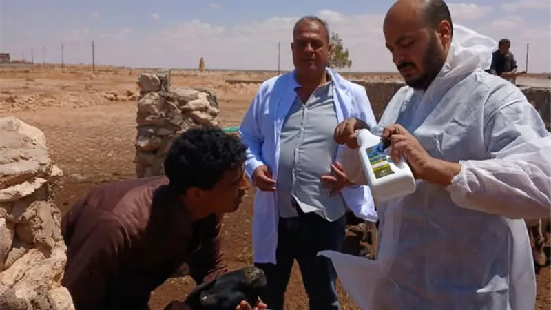 قافله بيطريه مجانيه شامله بإدارة السلوم الحدودية