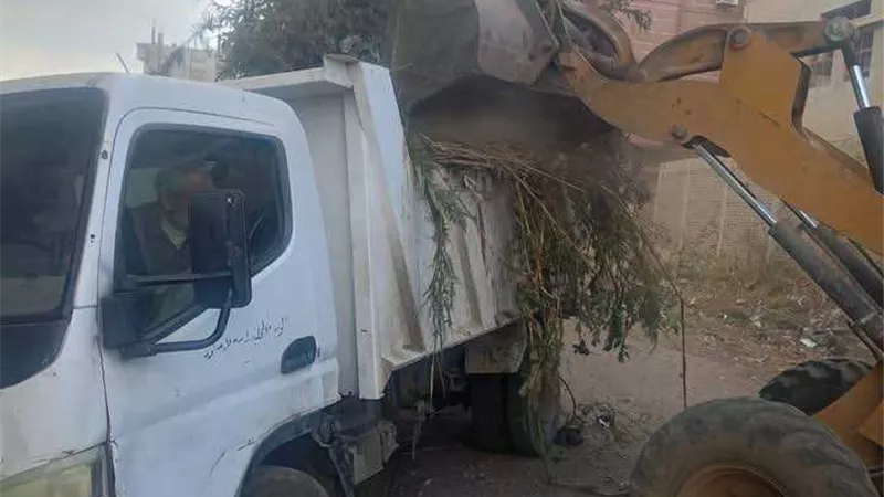 إزالة الغاب والحشائش بمنطقة العشرى بفارسكور