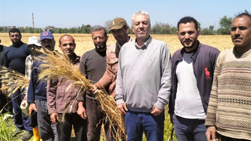 معهد بحوث الأراضي والمياه والبيئة يواصل دعم التنمية الزراعية