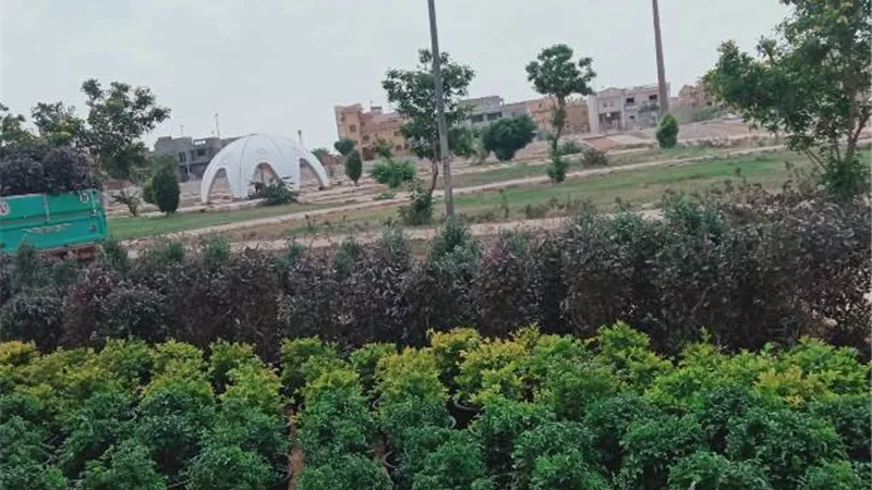 رئيس جهاز بدر يكشف عن زراعة 100 ألف عود زهور فى المدينة.. فيديو