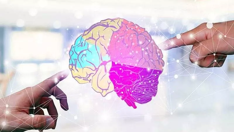 عادات للحفاظ على صحة الدماغ